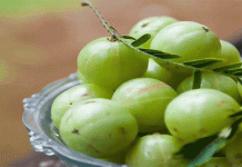 শীতে আমলকী খাওয়ার উপকারিতা