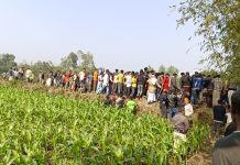 নেপথ্যে চুরি : দেহের পর এবার মাথা ও ছুড়ি উদ্ধার…